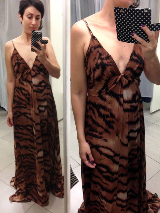 cavalli-3