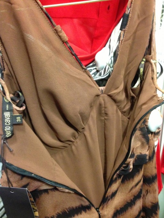 cavalli-4