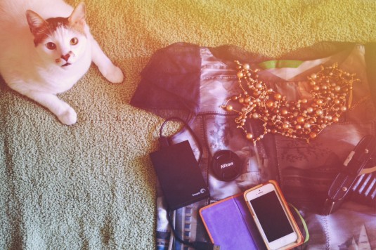 afterlight(2)