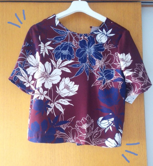 blusa-hojevouassimoff