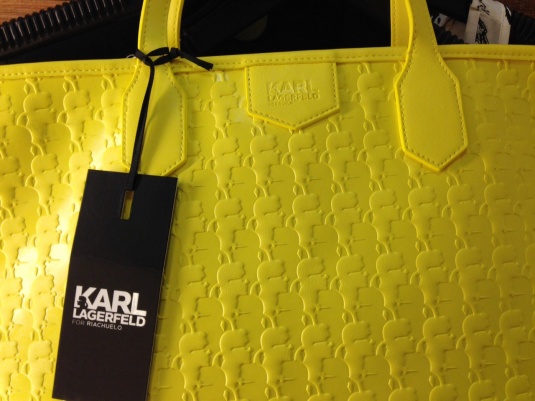 karl-rchlo-3