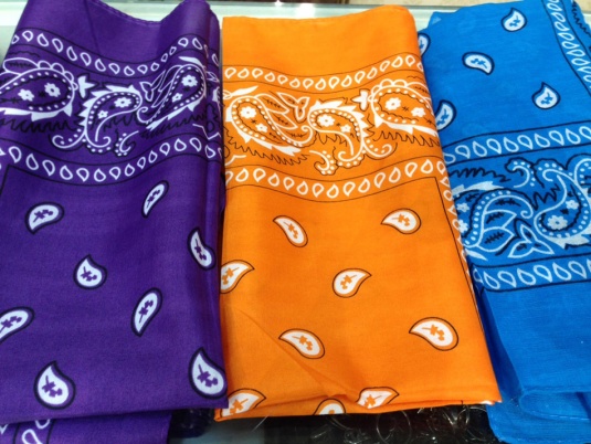 bandana-saara-3